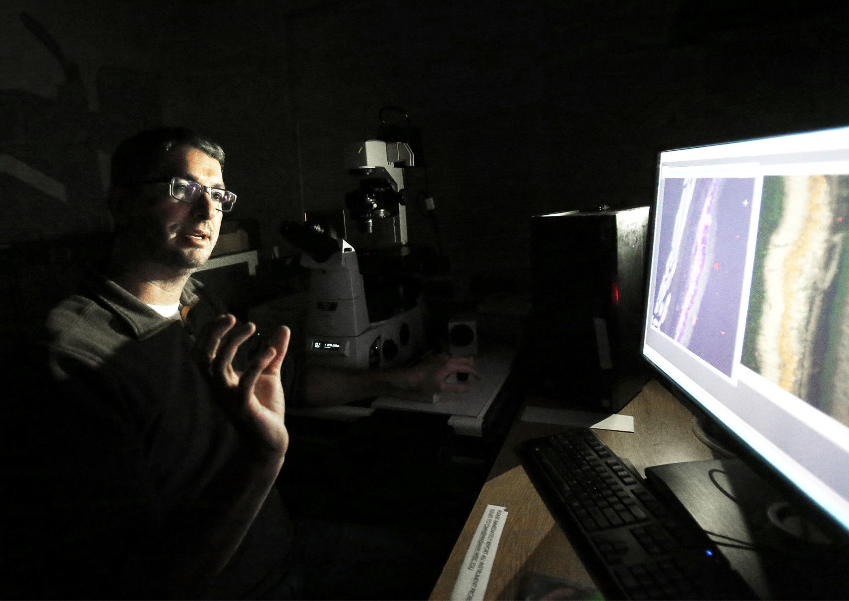 110418-wsj-news-stem-cells-gamm5